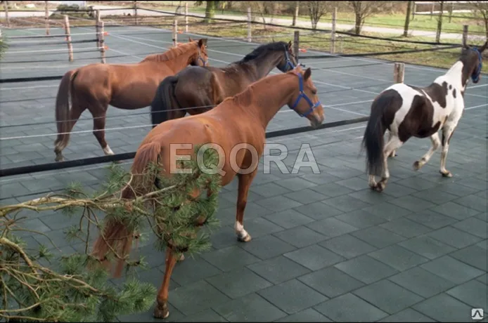 Маты из резиновой крошки для конюшни в Раменском